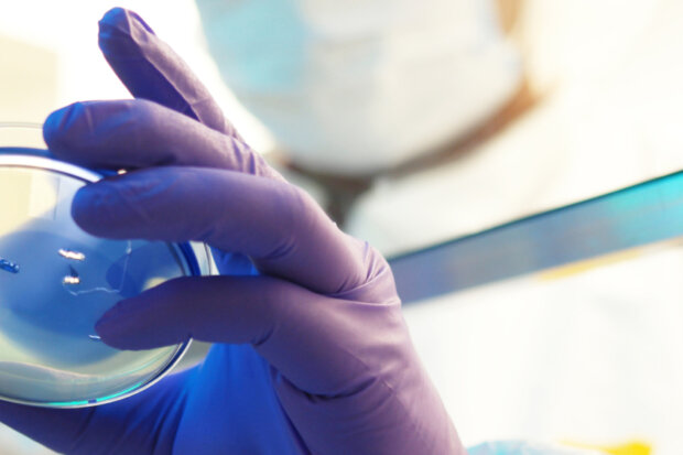 PHARMACEUTICAL PROJECT ENGINEER